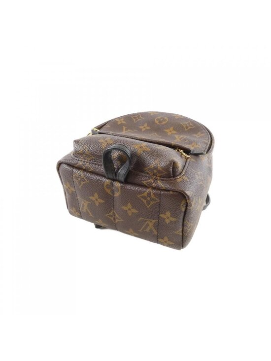 Louis Vuitton Monogram Palm Spring Backpack Mini Sac main image 5